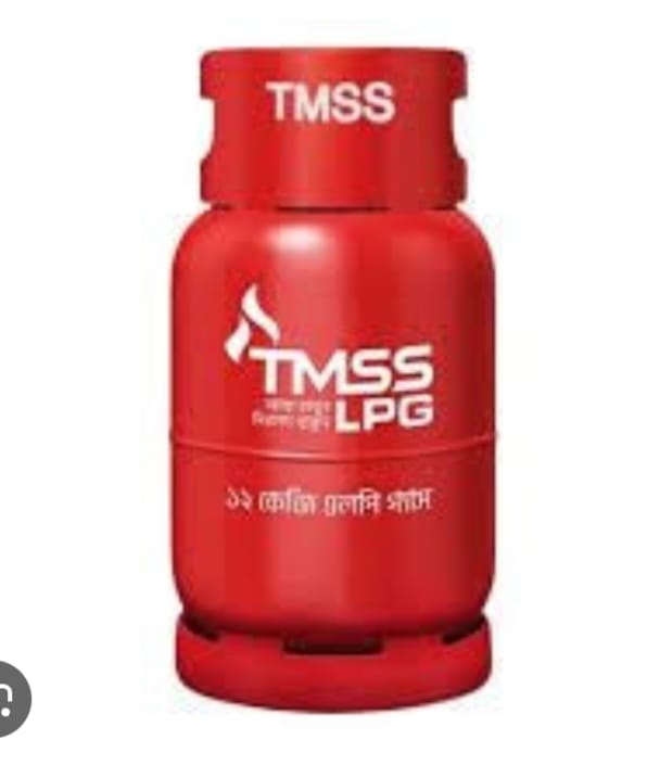 LPG TMSS (12kg)