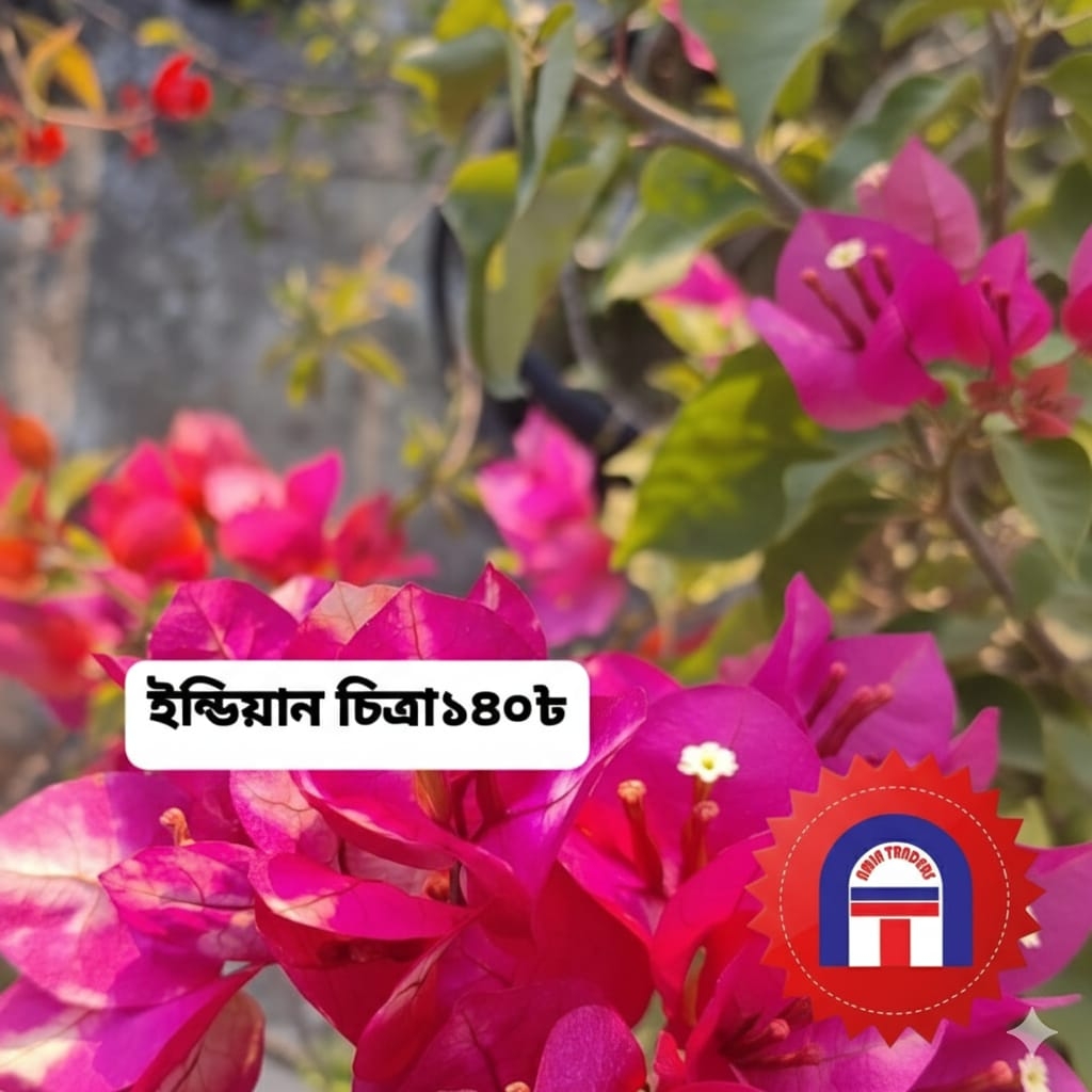 ইন্ডিয়ান চিত্রা